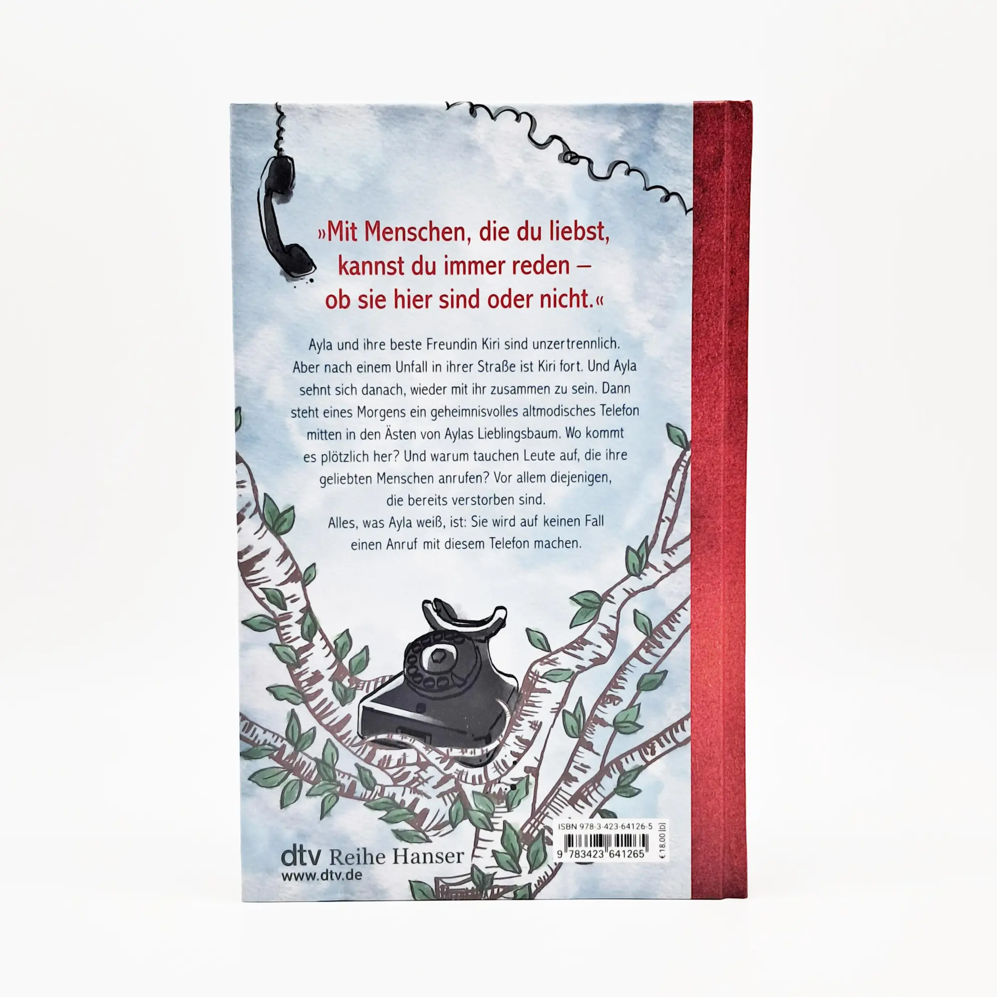 Bild: 9783423641265 | Das Telefon in der Birke | Alison McGhee | Buch | 208 S. | Deutsch