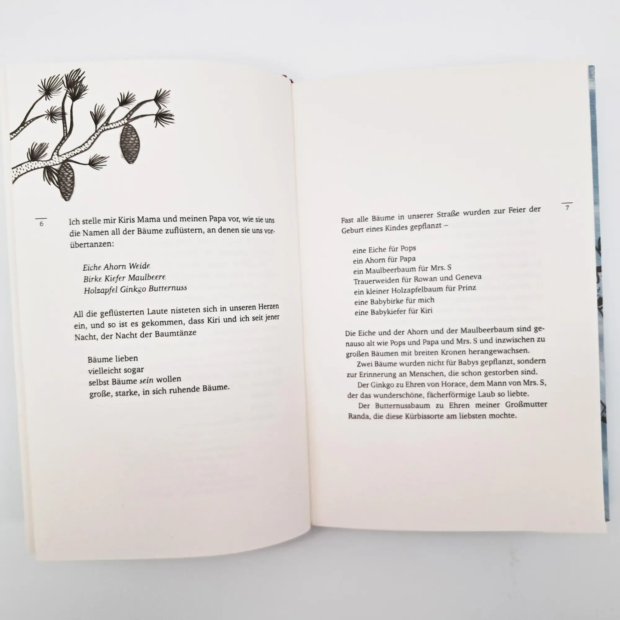Bild: 9783423641265 | Das Telefon in der Birke | Alison McGhee | Buch | 208 S. | Deutsch