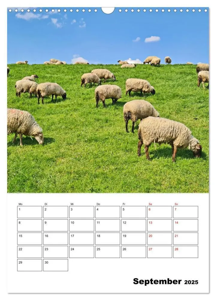 Bild: 9783435901265 | Frühling im Alten Land - Baumblütenzeit (Wandkalender 2025 DIN A3...