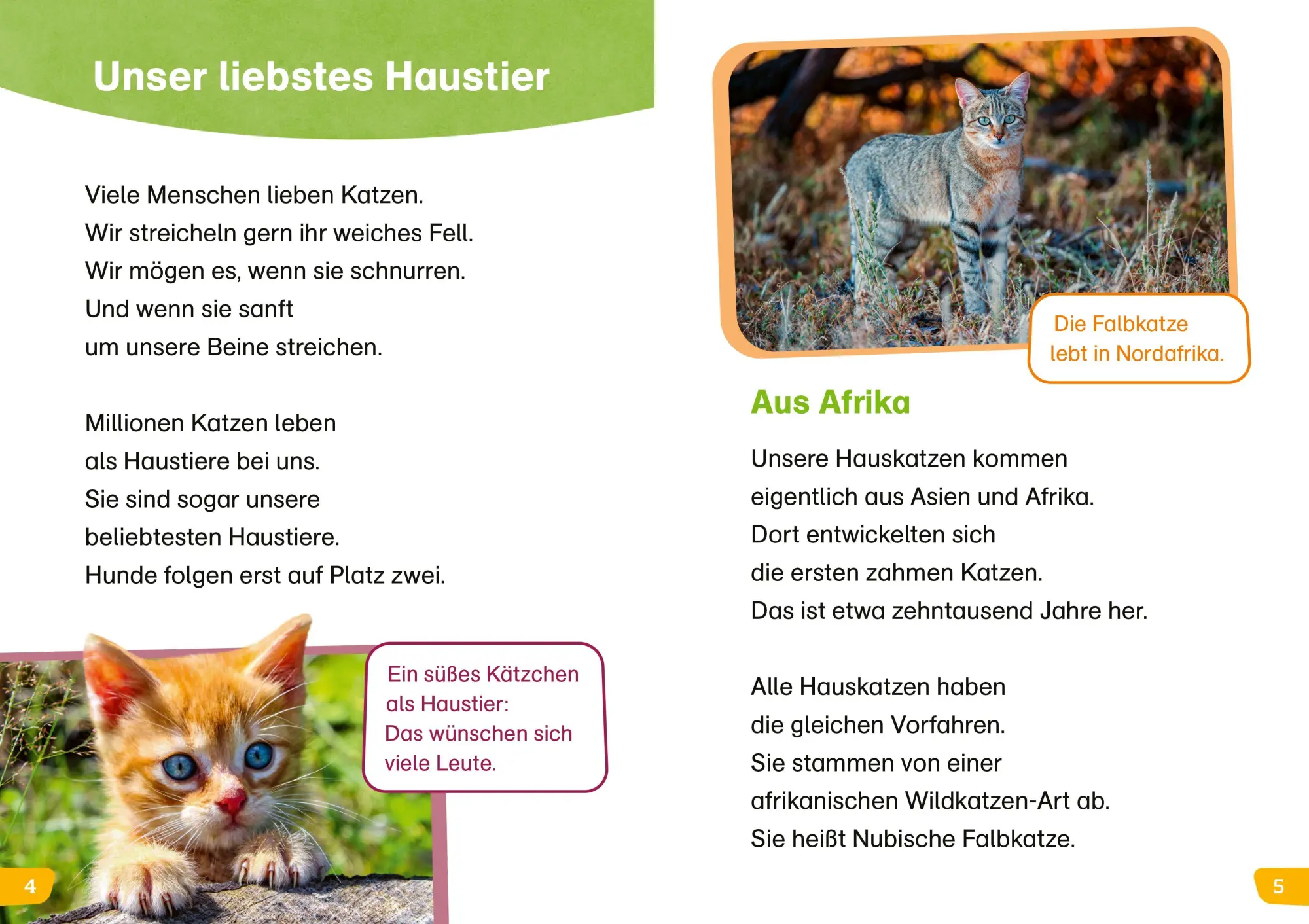 Bild: 9783788681265 | WAS IST WAS Erstes Lesen easy! Katzen - meine Lieblingstiere | Buch