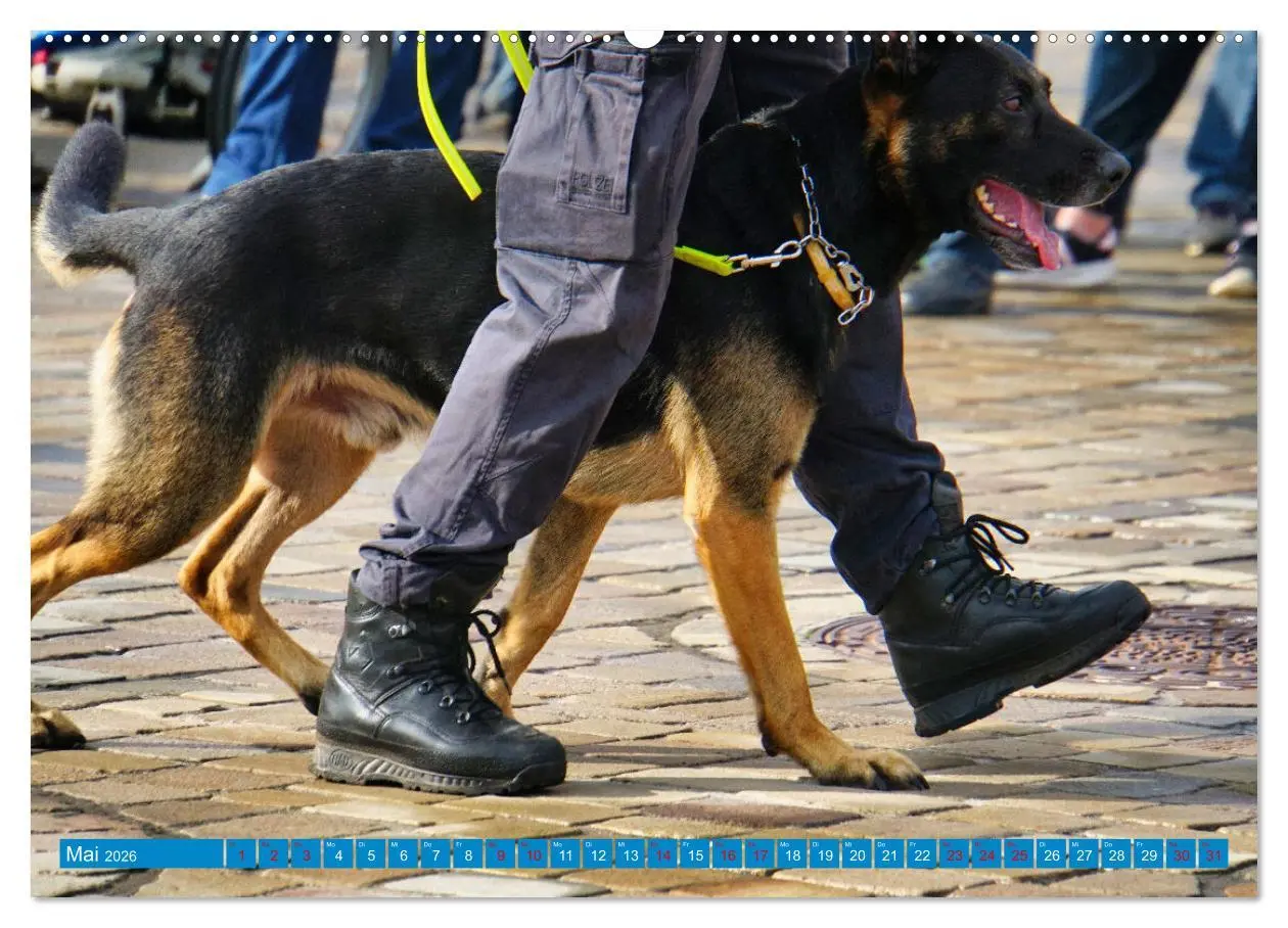Bild: 9783457531365 | Aktionstag der Polizei (Wandkalender 2026 DIN A2 quer), CALVENDO...