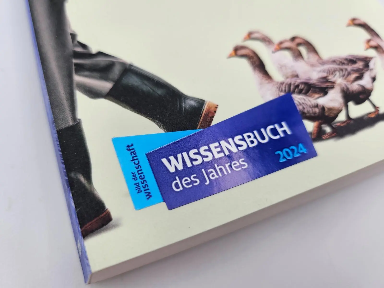 Bild: 9783492321365 | Lorenz | Roman Leben und Wirken des Verhaltensforschers Konrad Lorenz