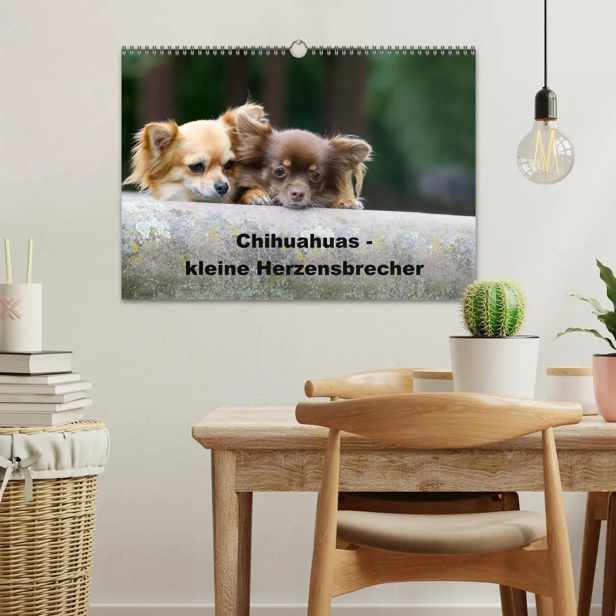 Bild: 9783516171365 | Chihuahuas - kleine Herzensbrecher (Wandkalender 2026 DIN A3 quer),...