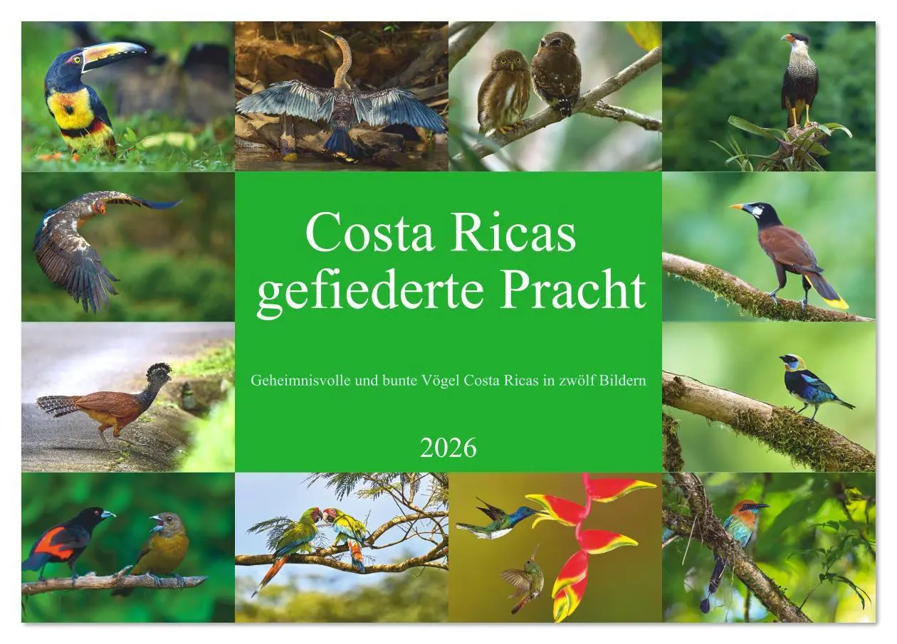 Cover: 9783516621365 | Costa Ricas gefiederte Pracht (Tischkalender 2026 DIN A5 quer),...