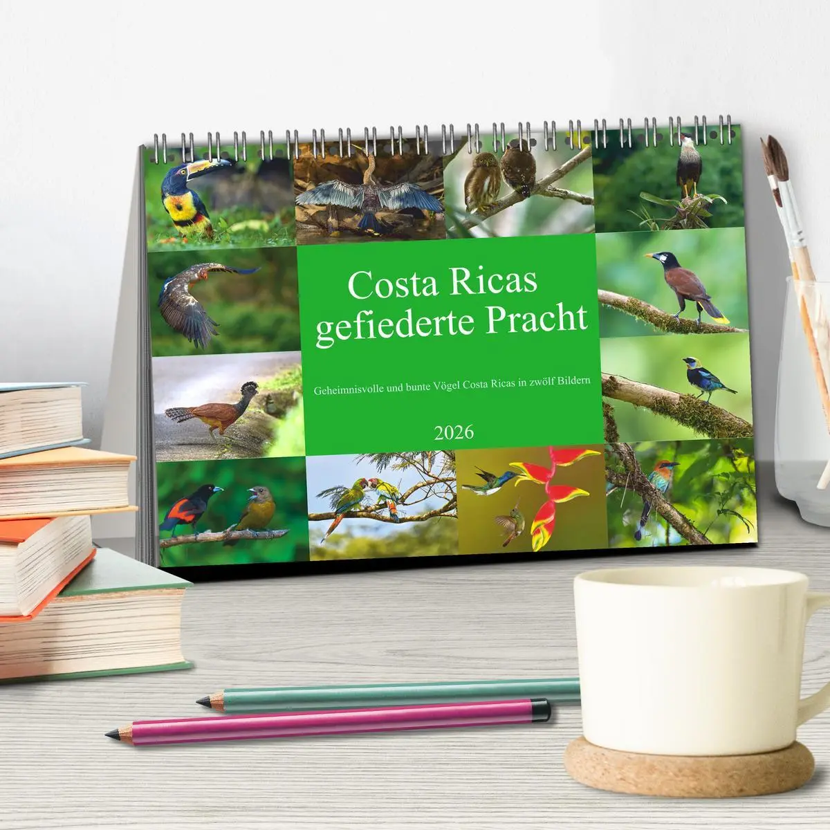 Bild: 9783516621365 | Costa Ricas gefiederte Pracht (Tischkalender 2026 DIN A5 quer),...