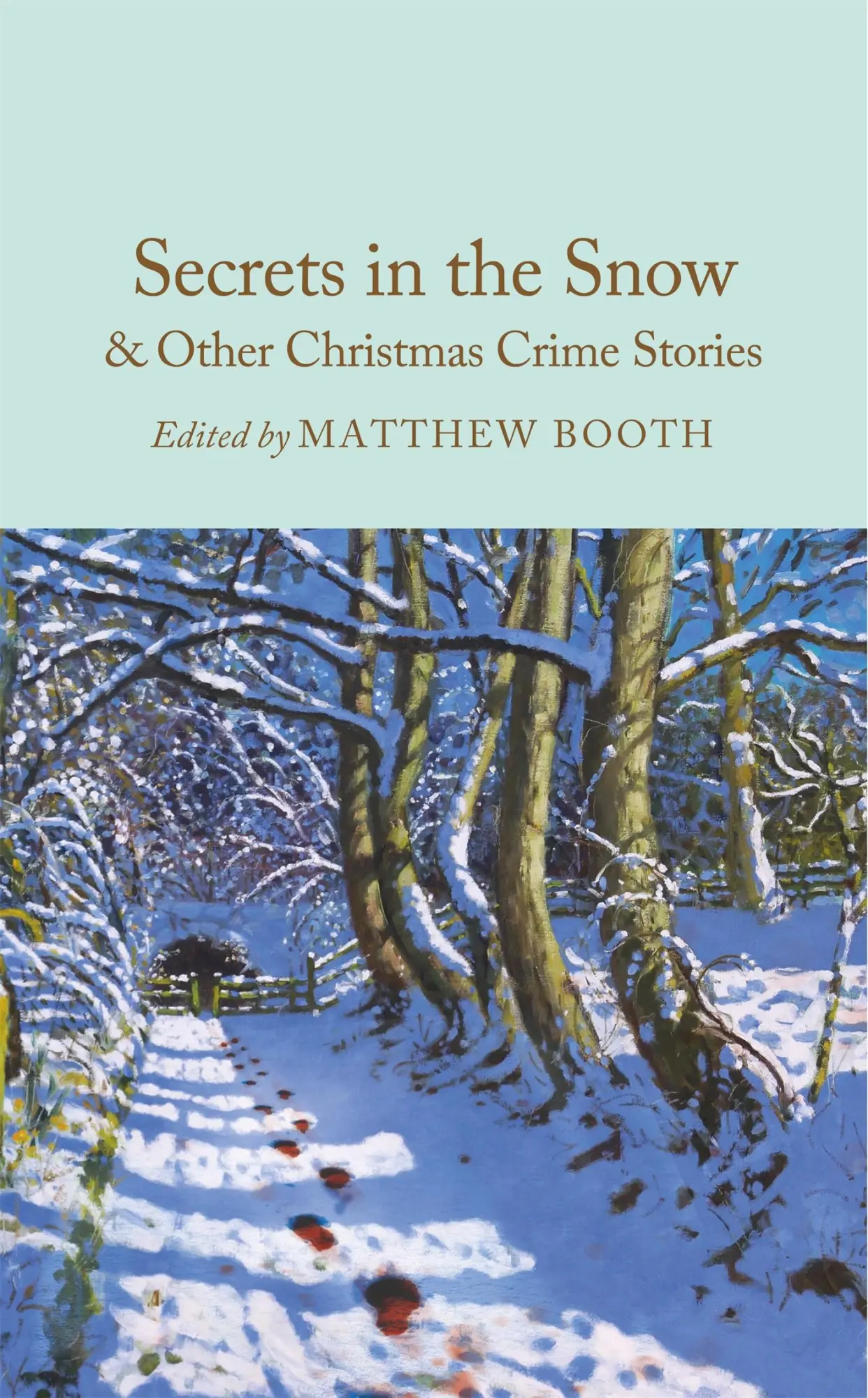 Cover: 9781035051465 | Secrets in the Snow &amp; Other Christmas Crime Stories | Matthew Booth