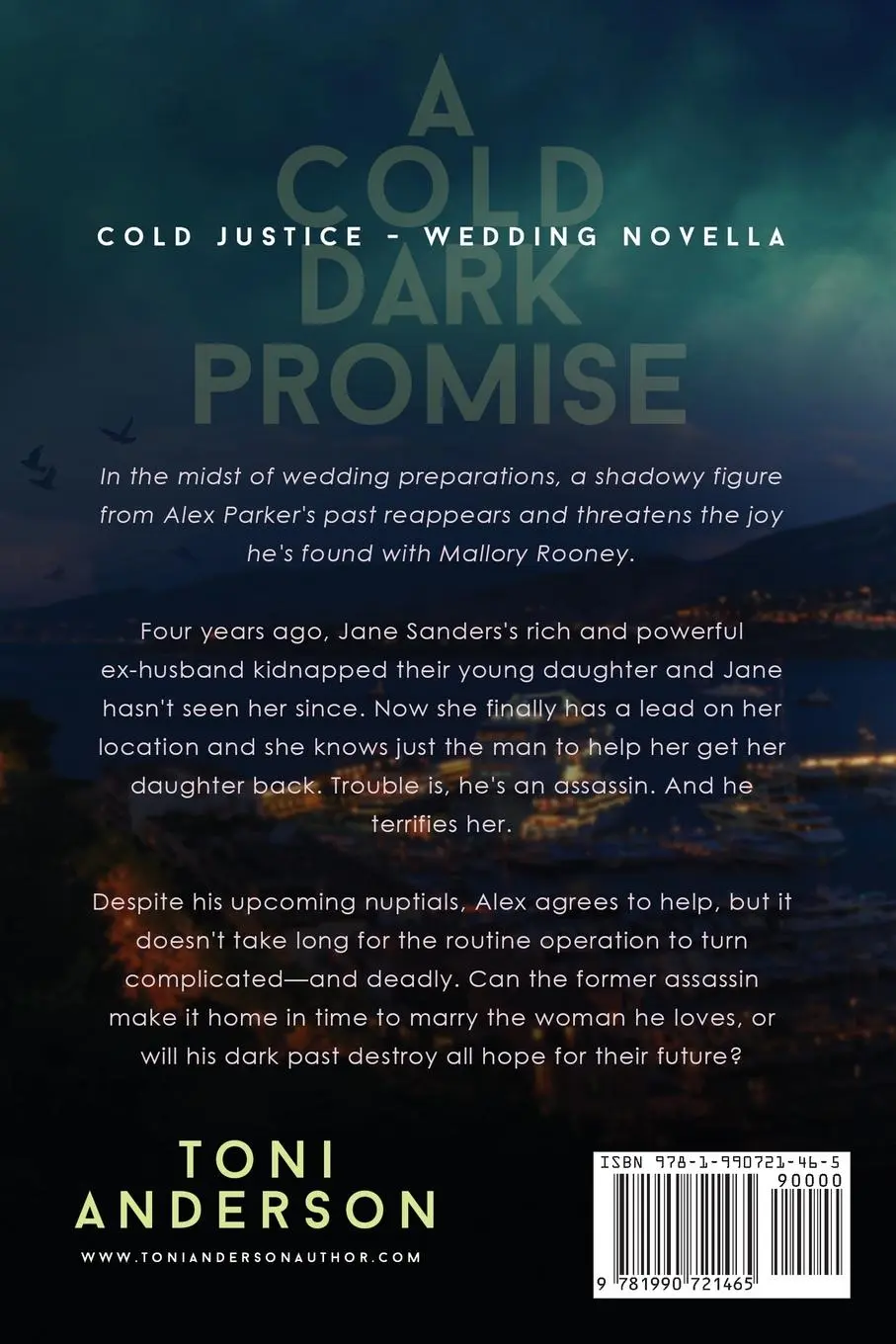 Rückseite: 9781990721465 | A Cold Dark Promise | Large Print | Toni Anderson | Taschenbuch | 2023