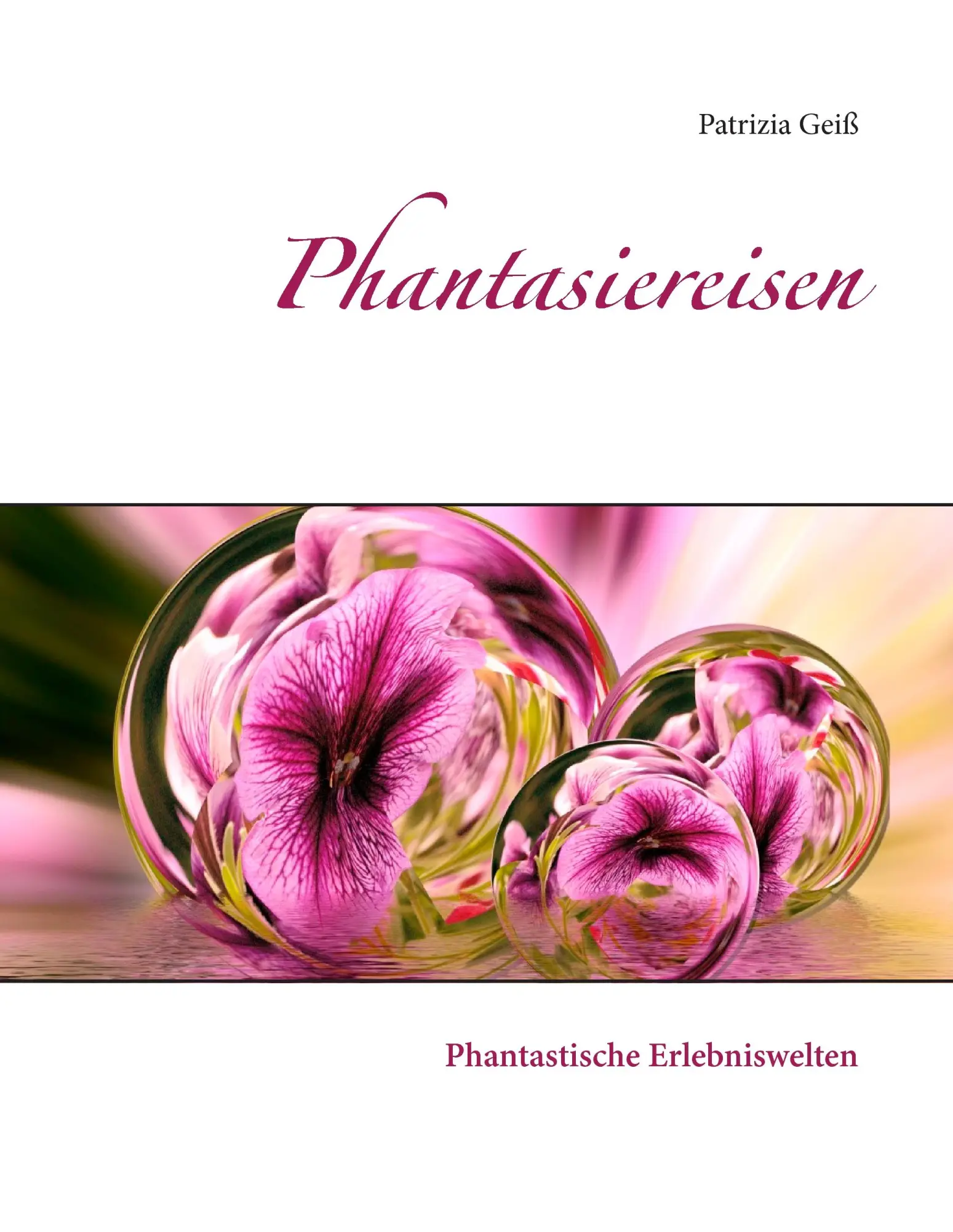 Cover: 9783740731465 | Phantasiereisen | Patrizia Geiß | Buch | 232 S. | Deutsch | 2017