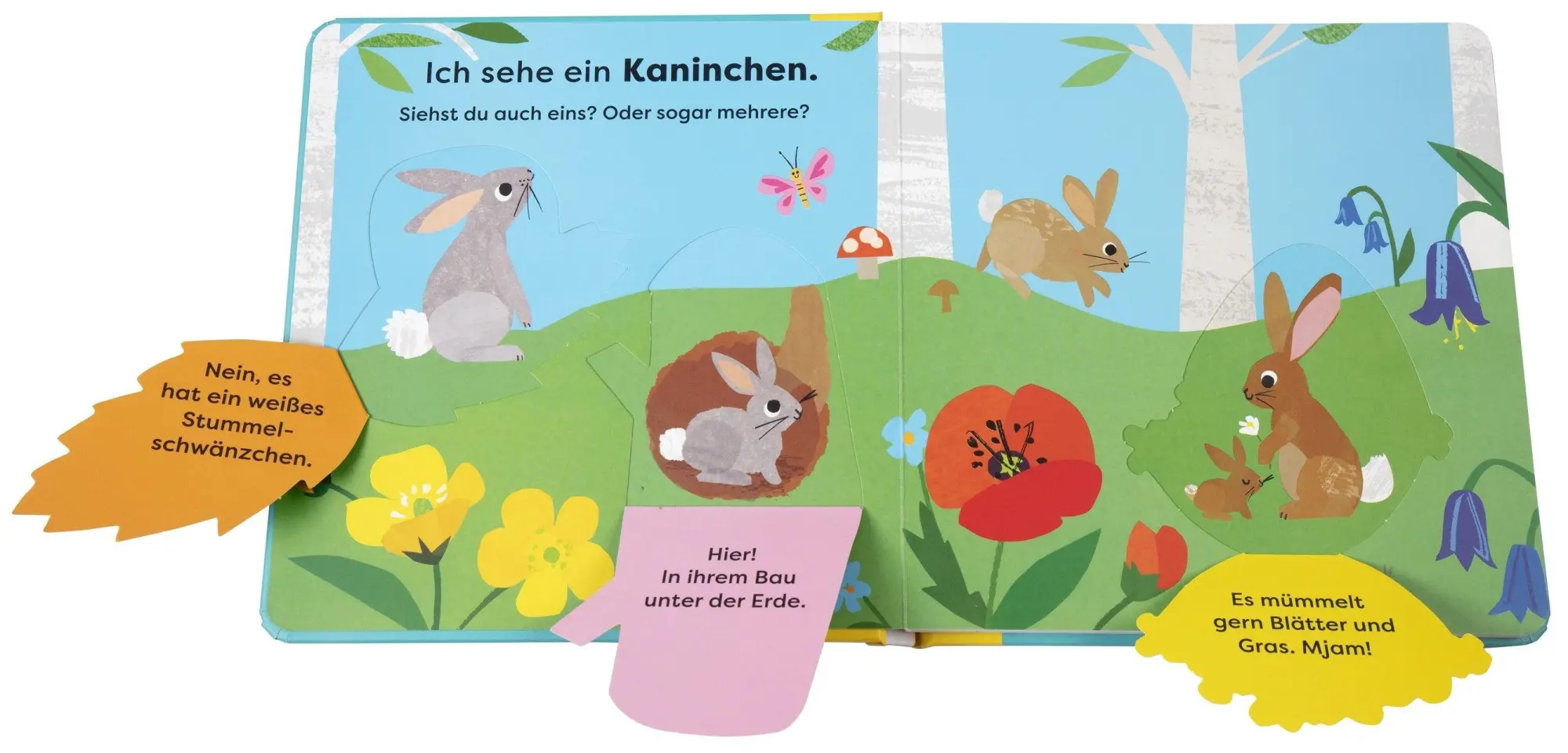 Bild: 9783831051465 | Mein erstes Natur-Entdeckerbuch. Da! Ein Fuchs | DK Verlag - Kids
