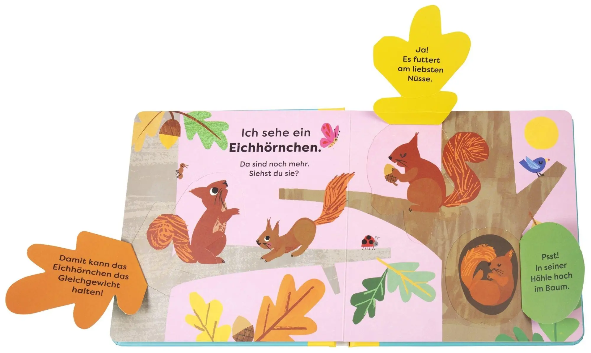 Bild: 9783831051465 | Mein erstes Natur-Entdeckerbuch. Da! Ein Fuchs | DK Verlag - Kids