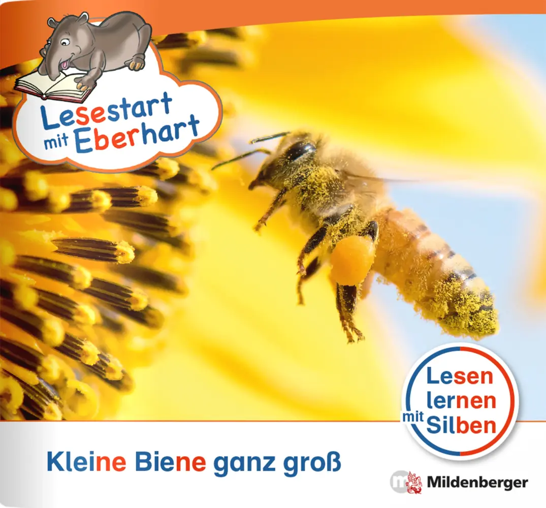 Cover: 9783619041565 | Lesestart mit Eberhart: Kleine Biene ganz groß | Drecktrah (u. a.)