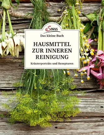 Cover: 9783710401565 | Das kleine Buch: Hausmittel zur inneren Reinigung | Nina Kienreich