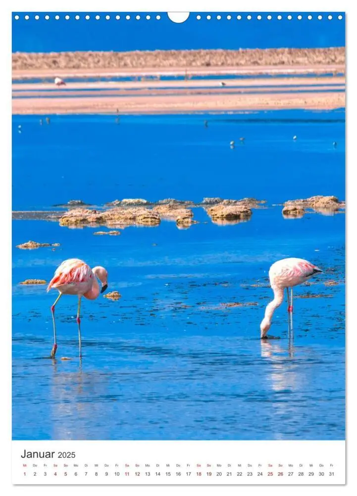 Bild: 9783435891665 | Chile - Ein Land mit unglaublicher Vielfalt. (Wandkalender 2025 DIN...