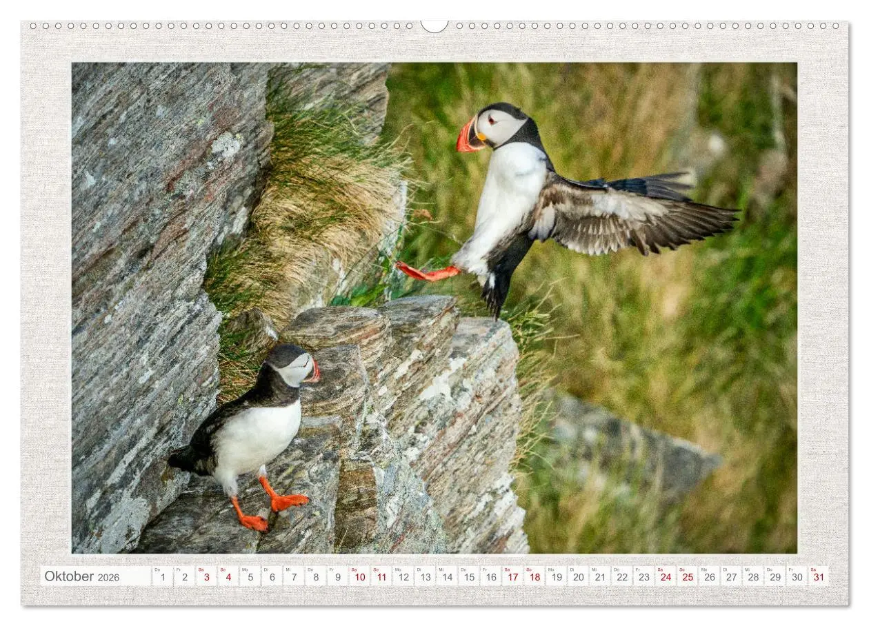Bild: 9783457501665 | Die kleinen schönen (hochwertiger Premium Wandkalender 2026 DIN A2...