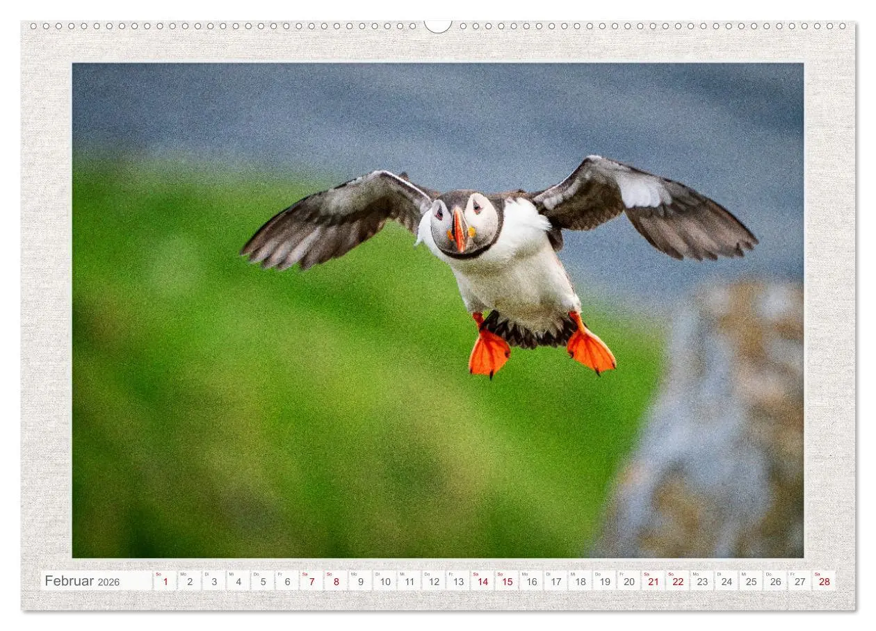 Bild: 9783457501665 | Die kleinen schönen (hochwertiger Premium Wandkalender 2026 DIN A2...