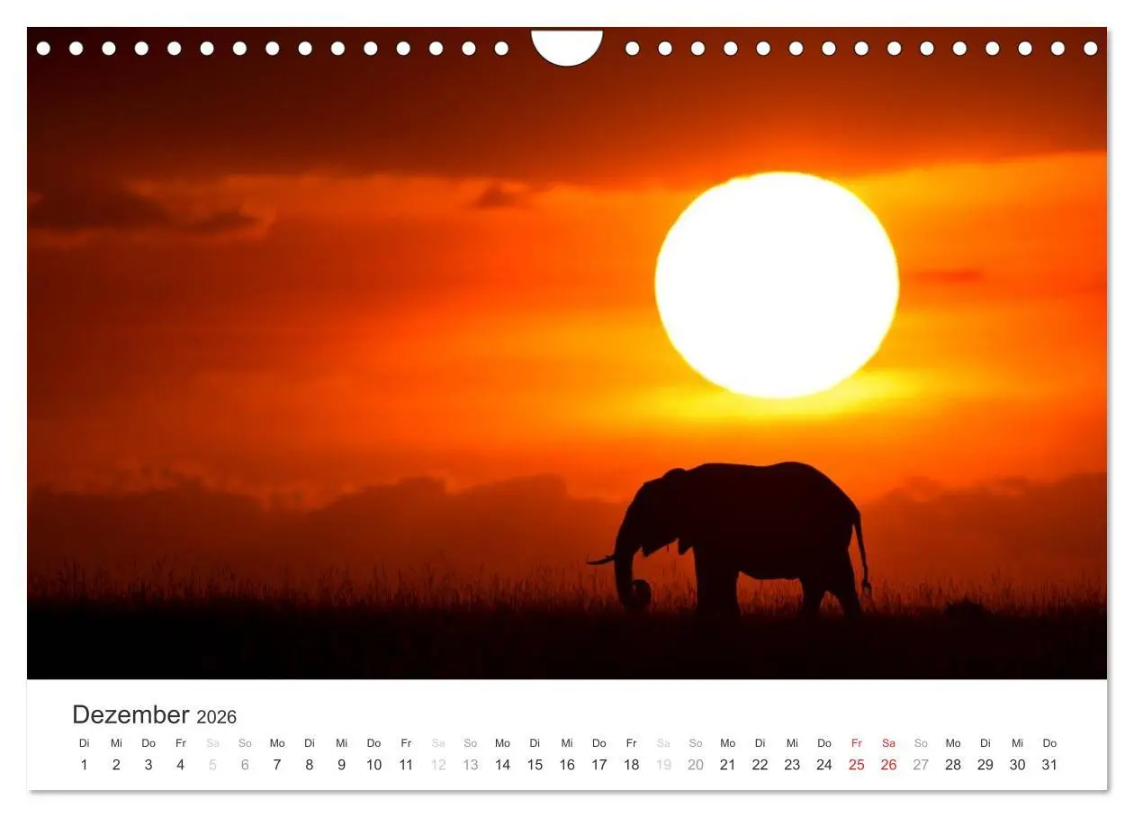 Bild: 9783457981665 | Elefanten - Sanfte Riesen in Afrika (Wandkalender 2026 DIN A4...