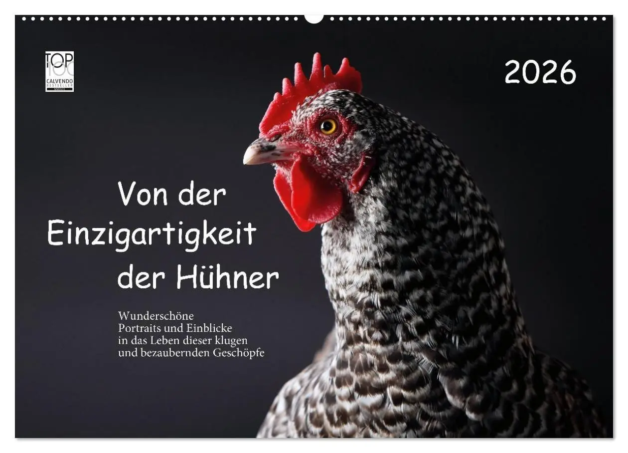 Cover: 9783516691665 | Von der Einzigartigkeit der Hühner 2026 (Wandkalender 2026 DIN A2...