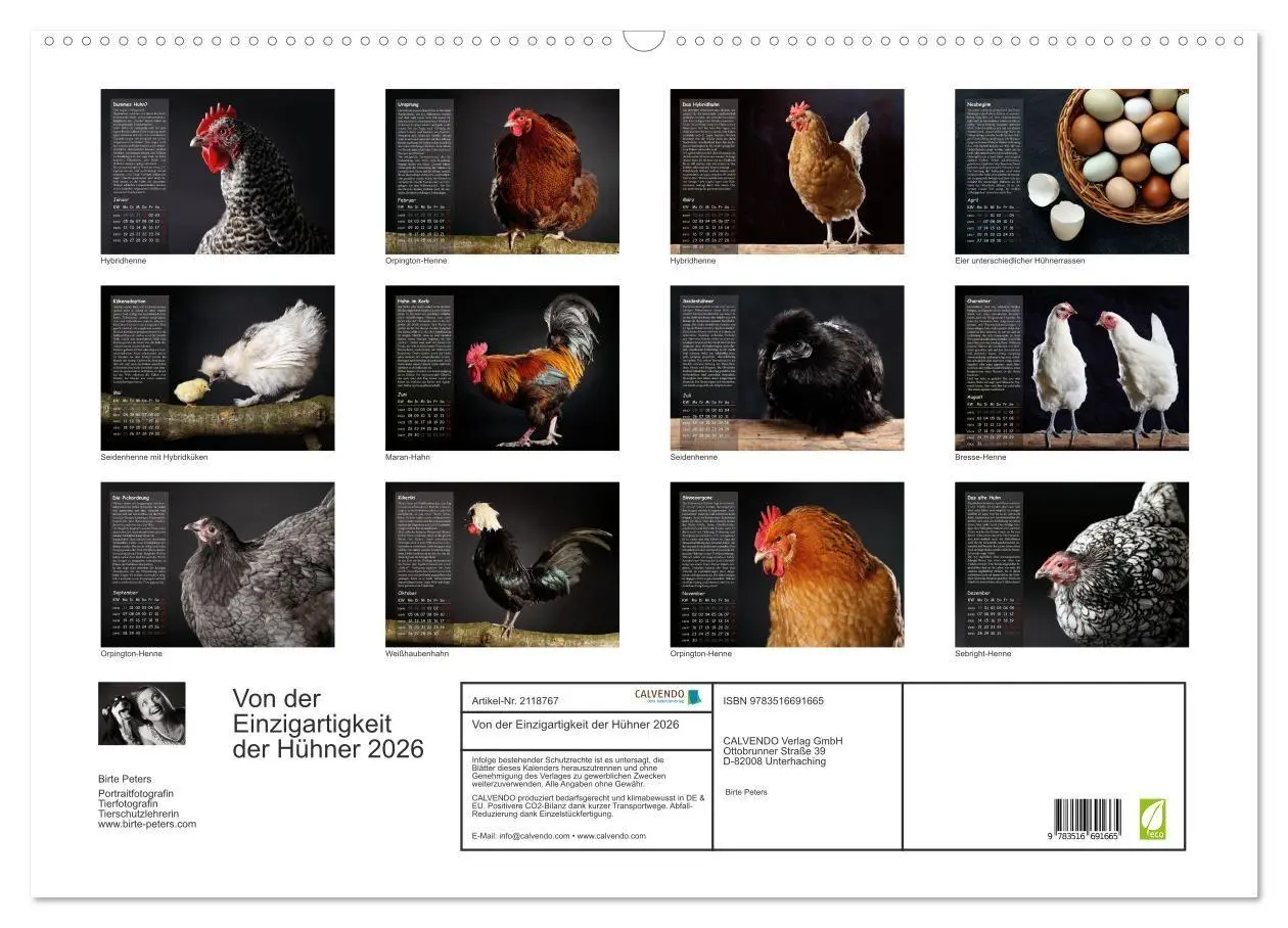 Bild: 9783516691665 | Von der Einzigartigkeit der Hühner 2026 (Wandkalender 2026 DIN A2...