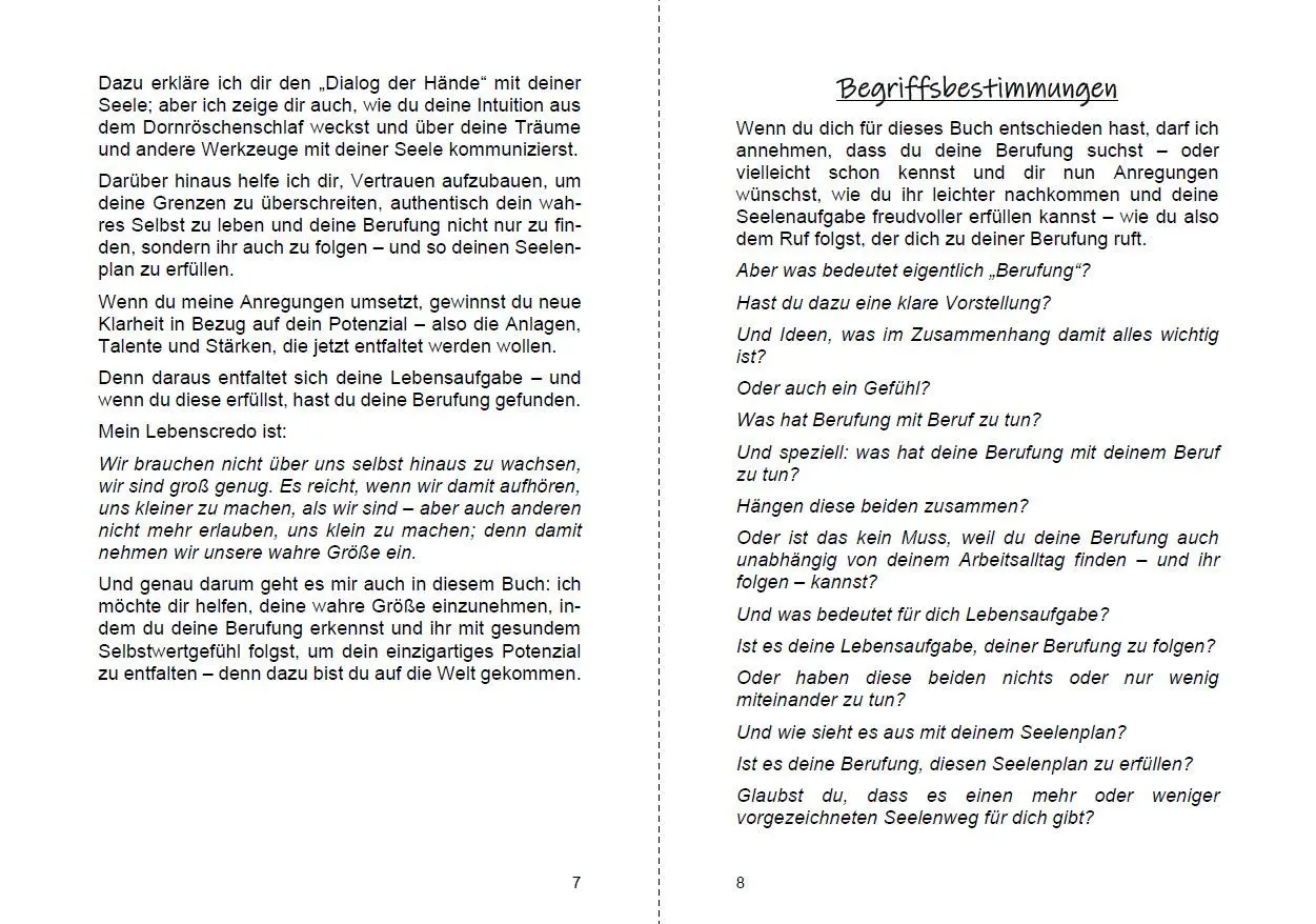 Bild: 9783967381665 | Finde deine Berufung und erfülle deinen Seelenplan | Michelle Haintz