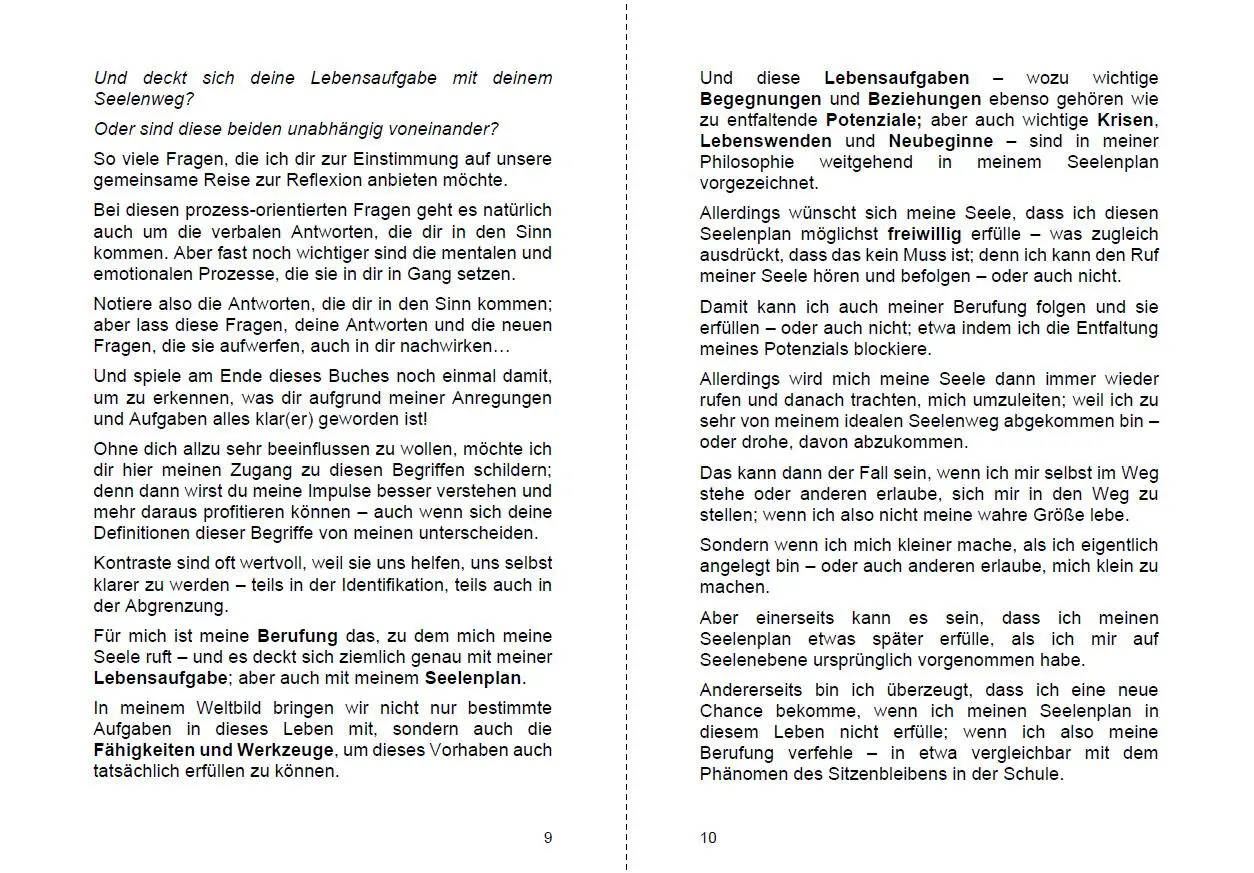 Bild: 9783967381665 | Finde deine Berufung und erfülle deinen Seelenplan | Michelle Haintz