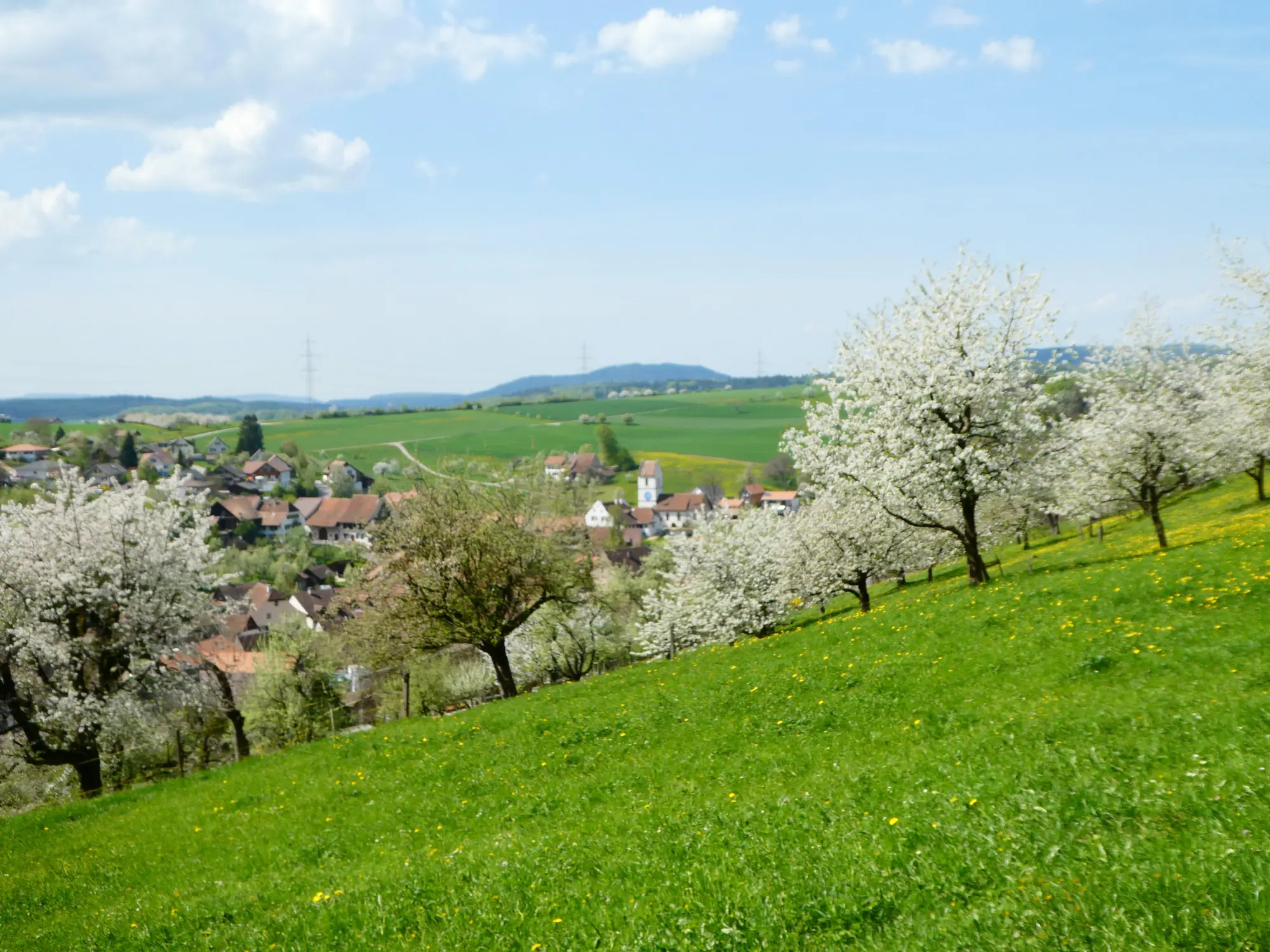Bild: 9783039021765 | Jura | Wilde Kreten, historische Orte und sagenhafte Plätze | Buch