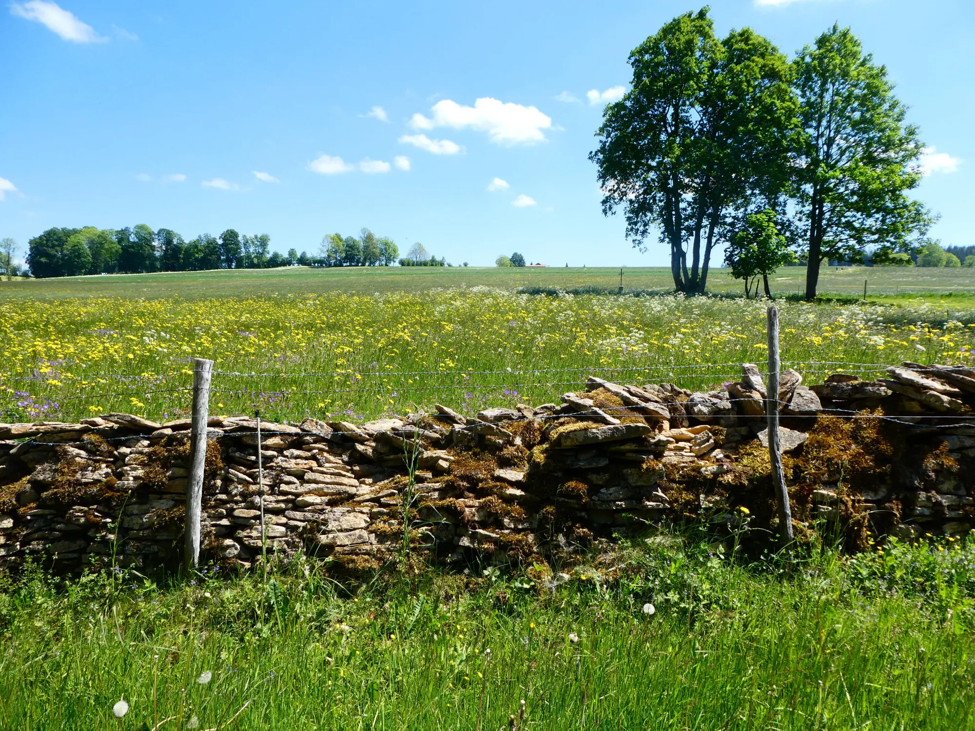 Bild: 9783039021765 | Jura | Wilde Kreten, historische Orte und sagenhafte Plätze | Buch