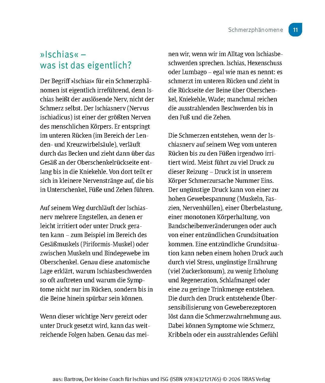 Bild: 9783432121765 | Der kleine Coach für Ischias und ISG | Kay Bartrow | Taschenbuch