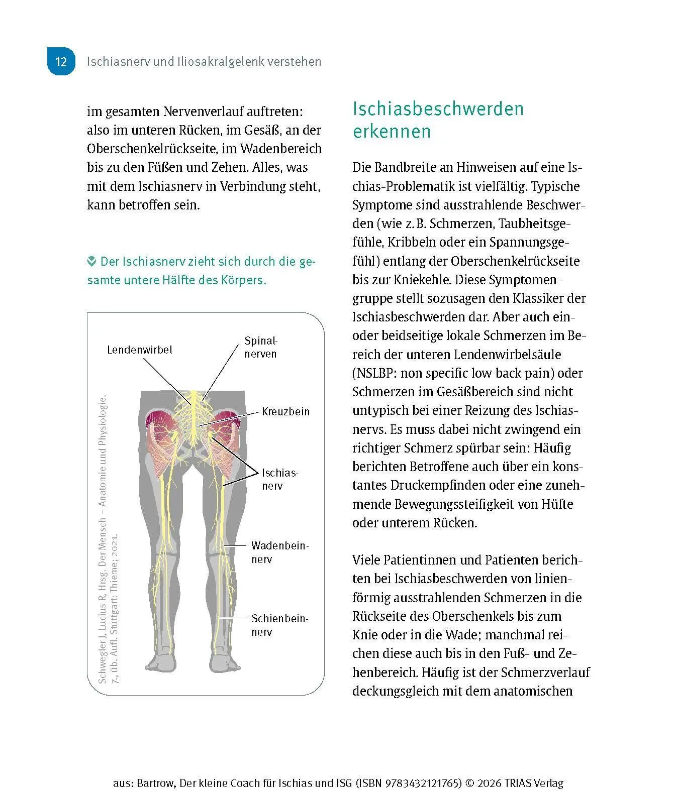 Bild: 9783432121765 | Der kleine Coach für Ischias und ISG | Kay Bartrow | Taschenbuch