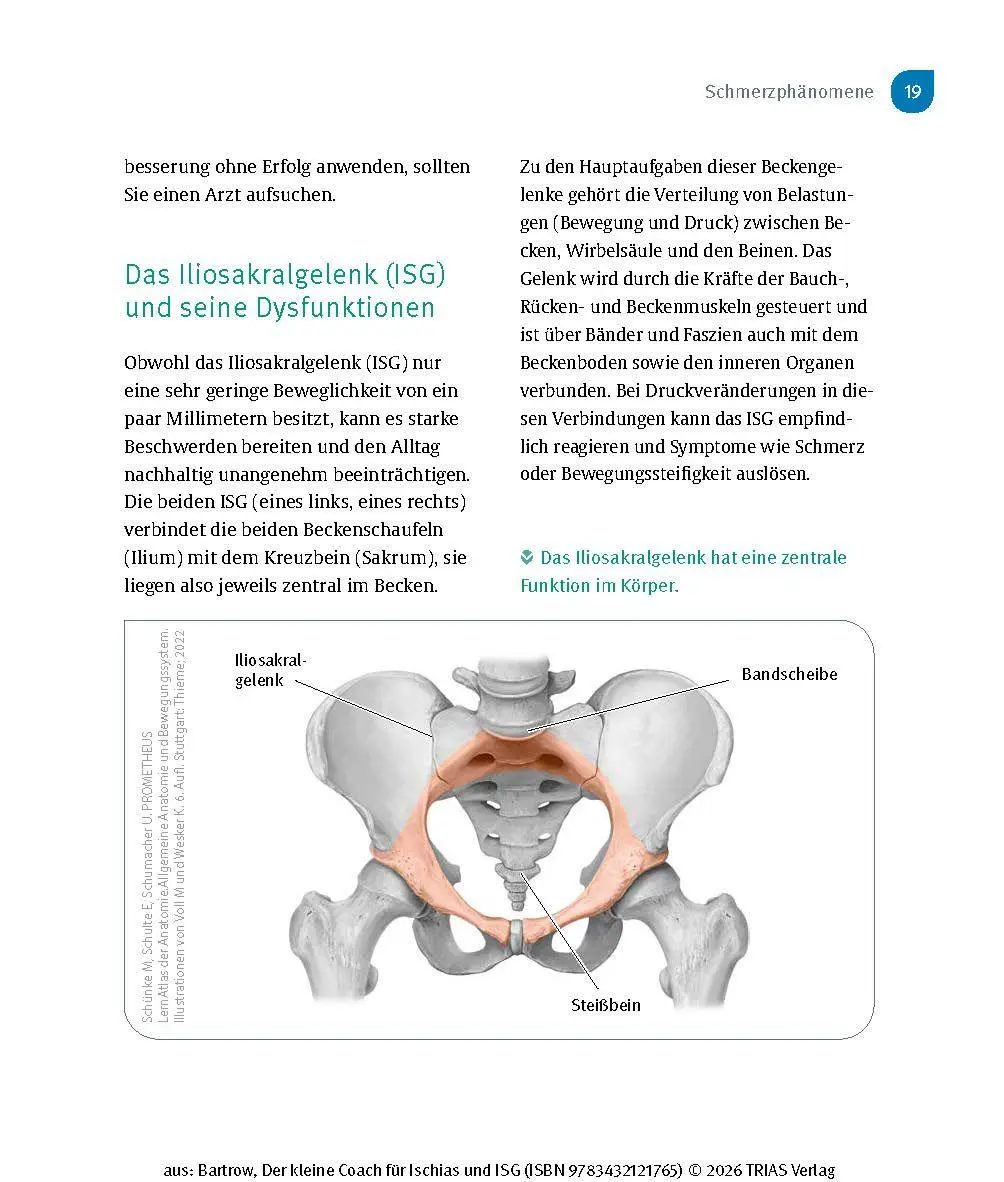 Bild: 9783432121765 | Der kleine Coach für Ischias und ISG | Kay Bartrow | Taschenbuch