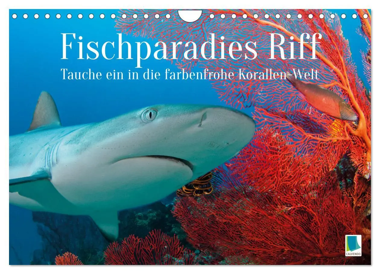 Cover: 9783457351765 | Fischparadies Riff (Wandkalender 2026 DIN A4 quer), CALVENDO...
