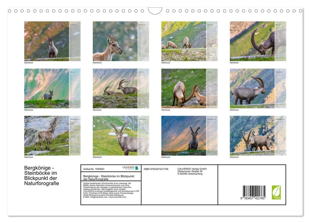 Bild: 9783457421765 | Bergkönige - Steinböcke im Blickpunkt der Naturforografie...