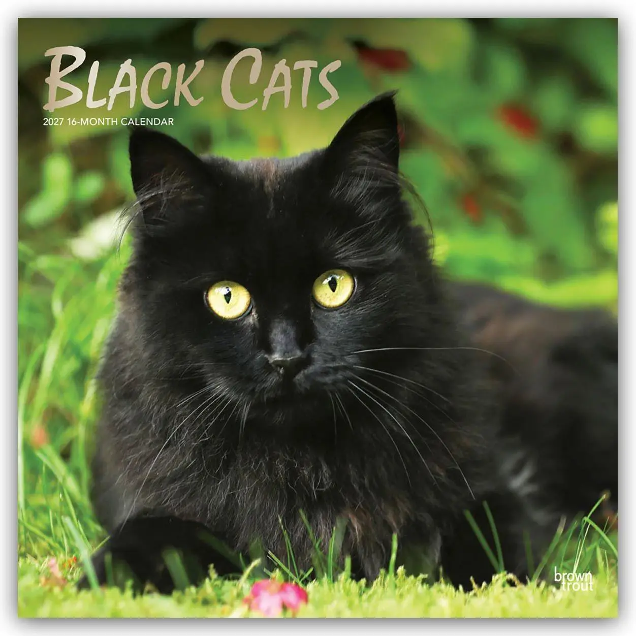 Cover: 9798330711765 | Black Cats - Schwarze Katzen 2027 - 16-Monatskalender | Publishers