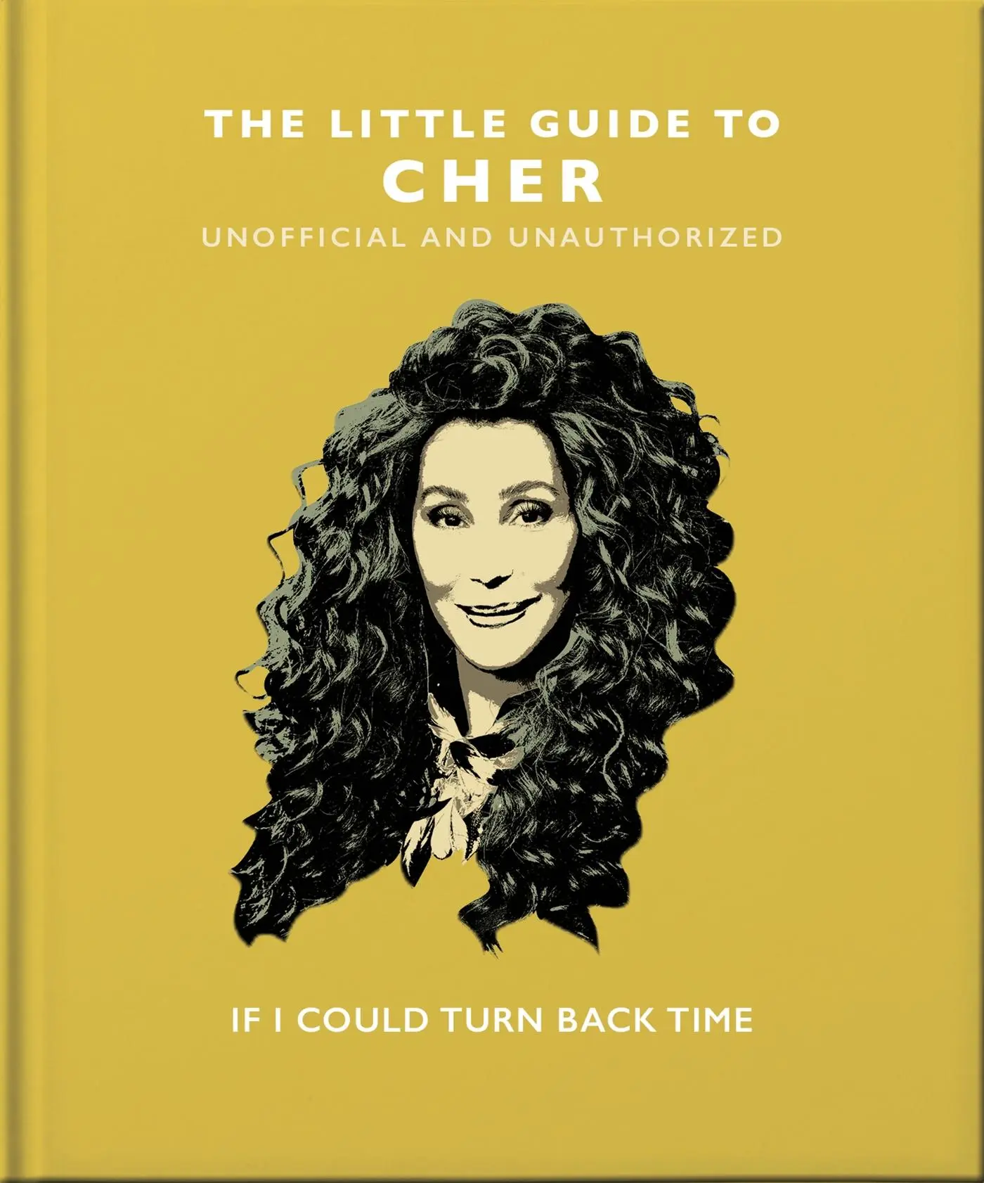 Cover: 9781800691865 | The Little Guide to Cher | If I Could Turn Back Time | Orange Hippo!