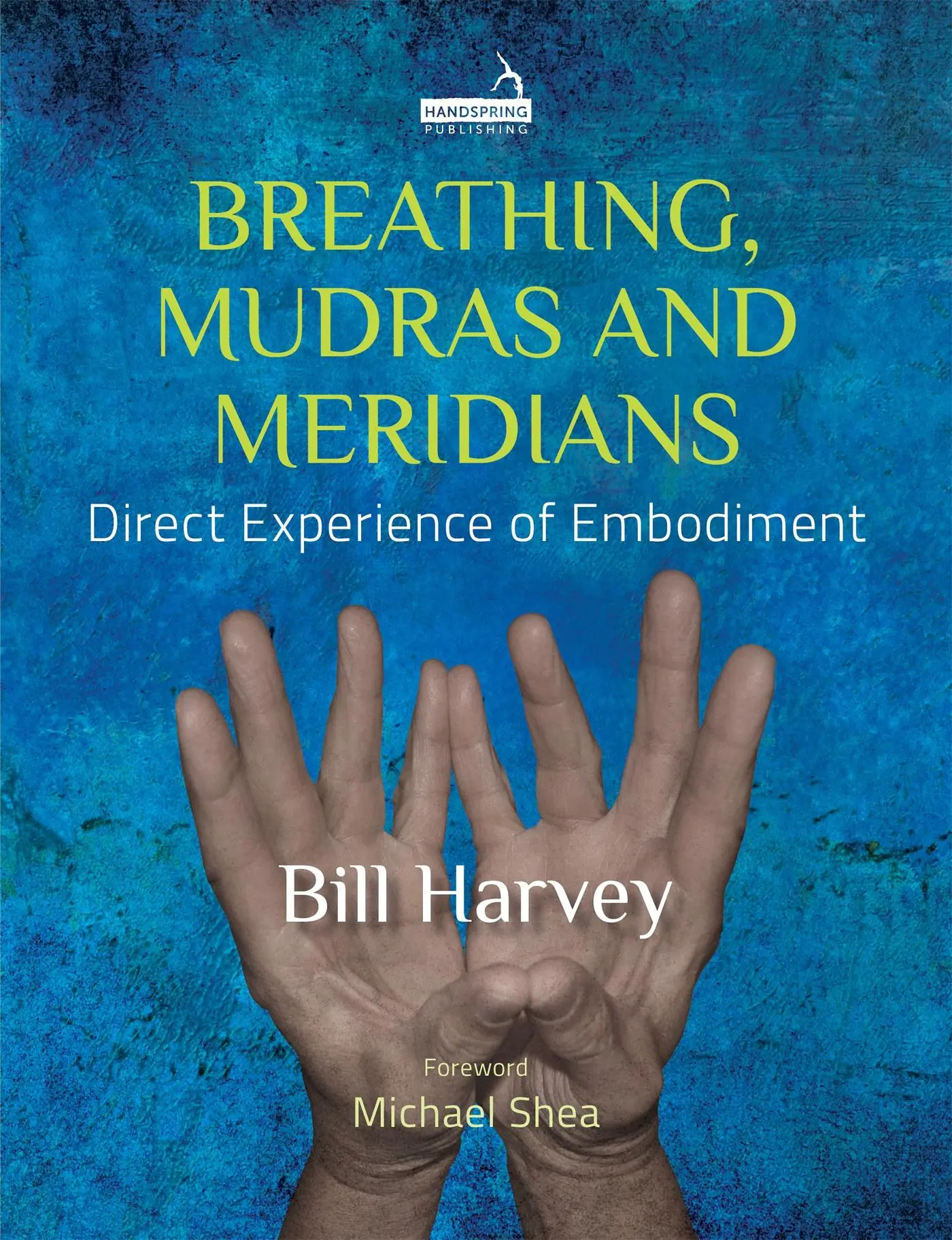 Cover: 9781909141865 | Breathing, Mudras and Meridians | Direct Experience of Embodiment