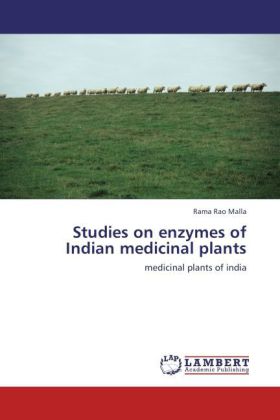 Studies on enzymes of Indian medicinal plants | medicinal plants of india | Rama Rao Malla | Taschenbuch | Englisch | LAP Lambert Academic Publishing | EAN 9783659231865 - Malla, Rama Rao
