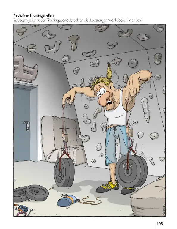 Bild: 9783945271865 | Auf den Berg gekommen! | Alpine Cartoons | Georg Sojer | Buch | 110 S.