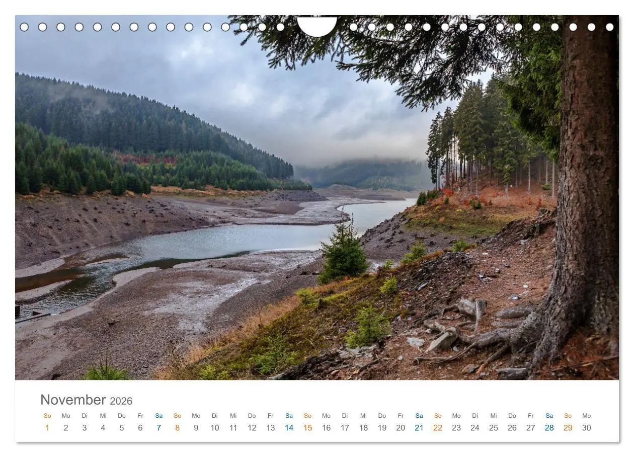 Bild: 9783457331965 | Rennsteig - Weitwanderweg (Wandkalender 2026 DIN A4 quer), CALVENDO...