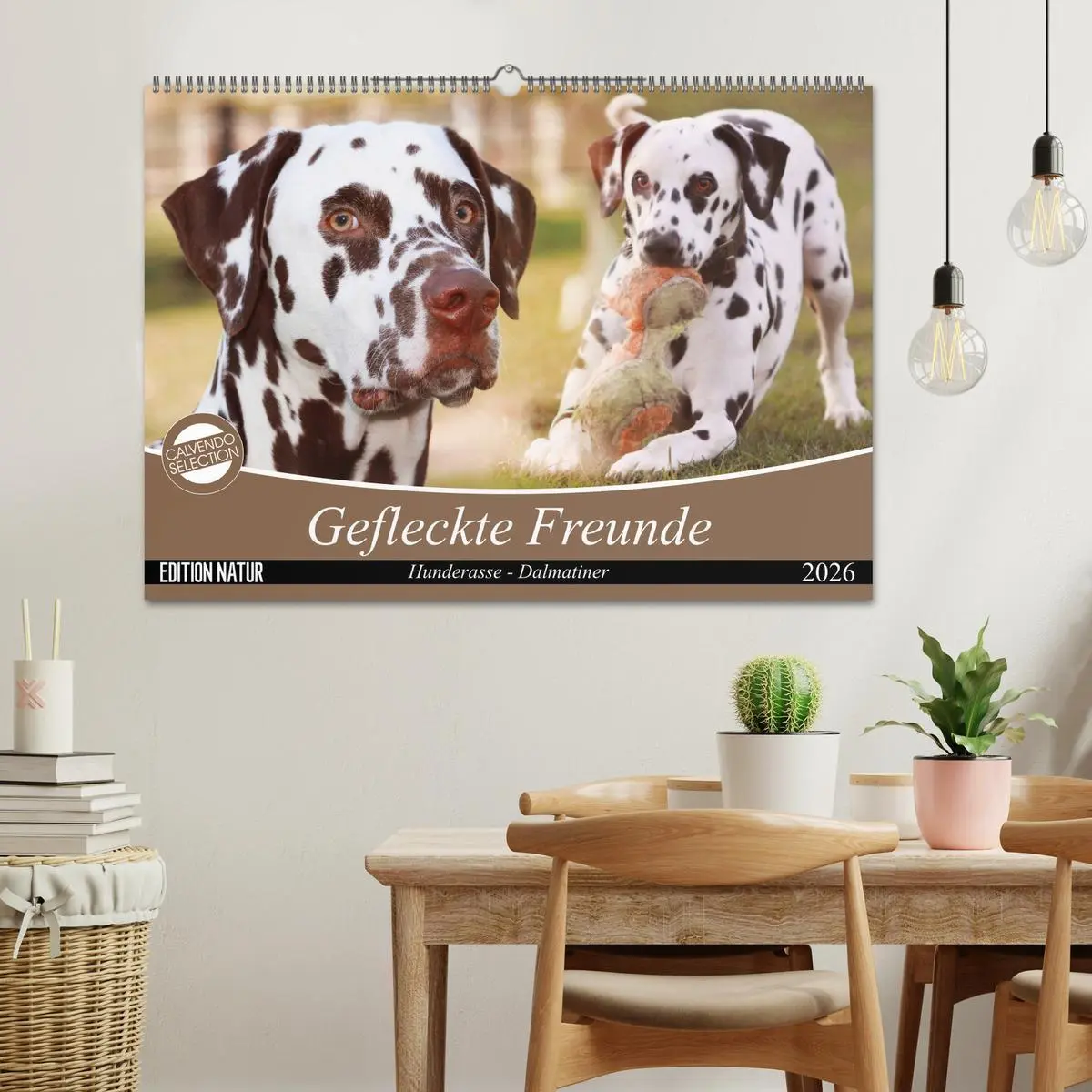 Bild: 9783457881965 | Gefleckte Freunde - Hunderasse Dalmatiner (Wandkalender 2026 DIN A2...