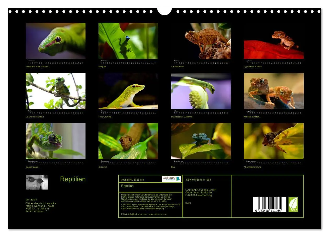 Bild: 9783516111965 | Reptilien (Wandkalender 2026 DIN A3 quer), CALVENDO Monatskalender