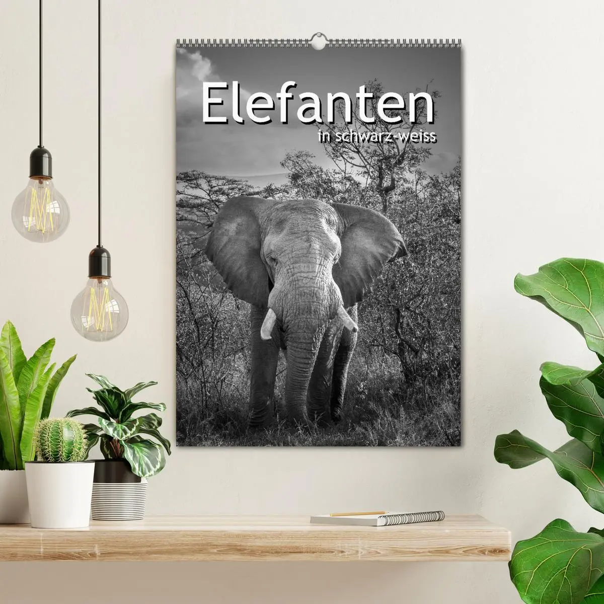 Bild: 9783516421965 | Elefanten in schwarz-weiss (Wandkalender 2026 DIN A2 hoch),...