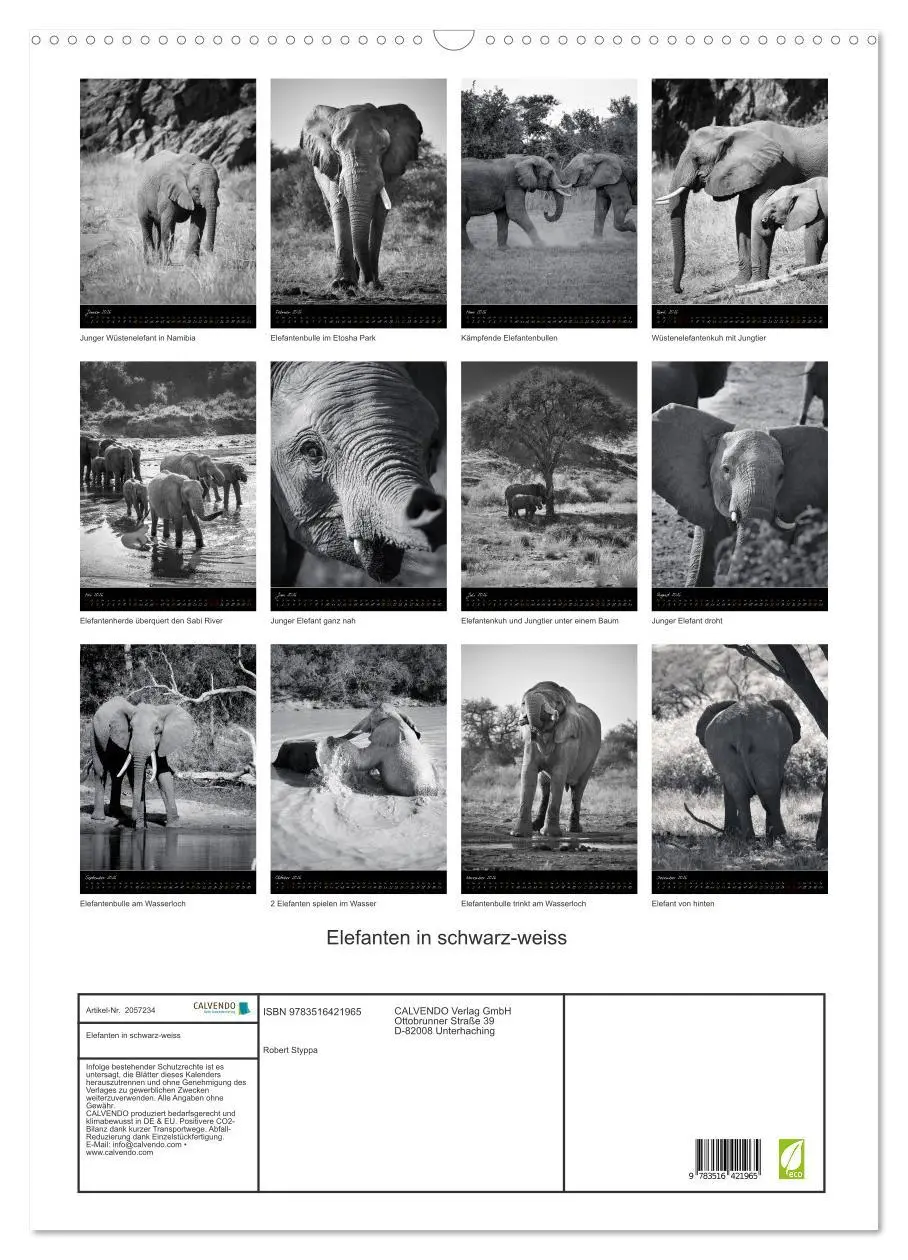 Bild: 9783516421965 | Elefanten in schwarz-weiss (Wandkalender 2026 DIN A2 hoch),...