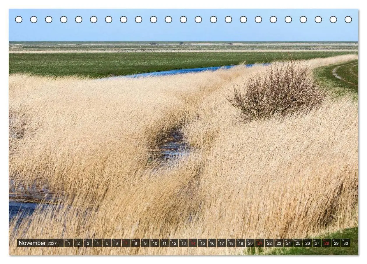 Bild: 9783594021965 | Rømø (Tischkalender 2027 DIN A5 quer), CALVENDO Monatskalender | 2027