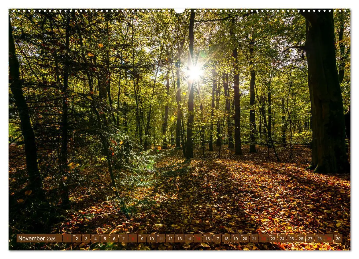 Bild: 9783457462065 | Moin Moormerland (Wandkalender 2026 DIN A2 quer), CALVENDO...