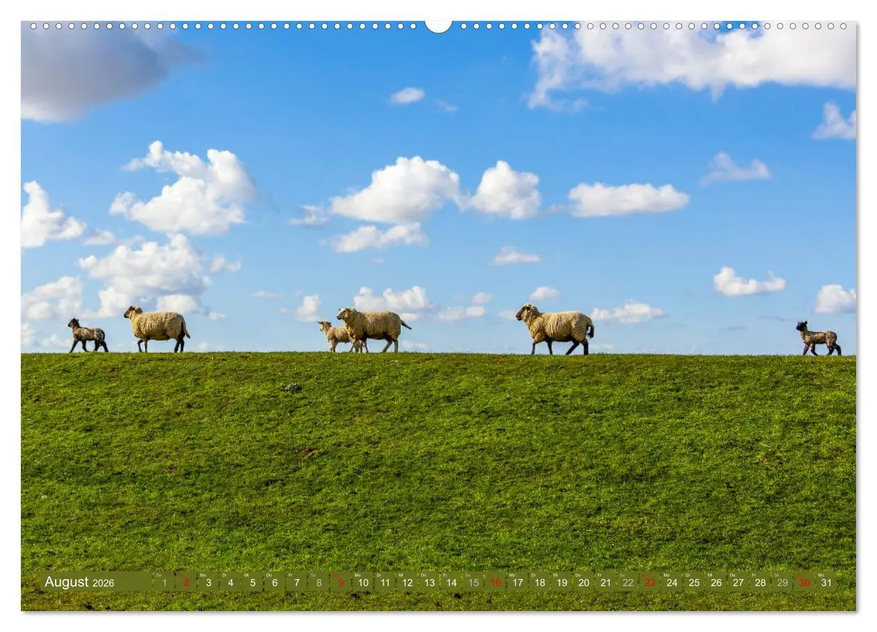 Bild: 9783457462065 | Moin Moormerland (Wandkalender 2026 DIN A2 quer), CALVENDO...