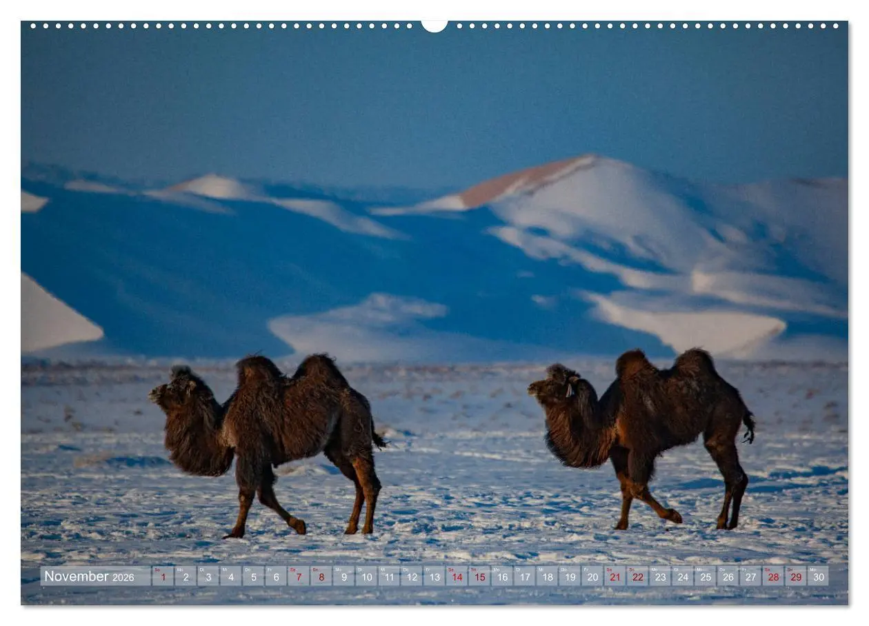Bild: 9783457842065 | Mongolei - imposantes Land (Wandkalender 2026 DIN A2 quer),...