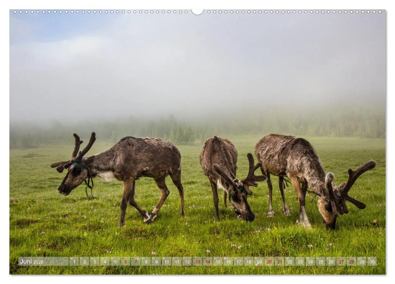 Bild: 9783457842065 | Mongolei - imposantes Land (Wandkalender 2026 DIN A2 quer),...