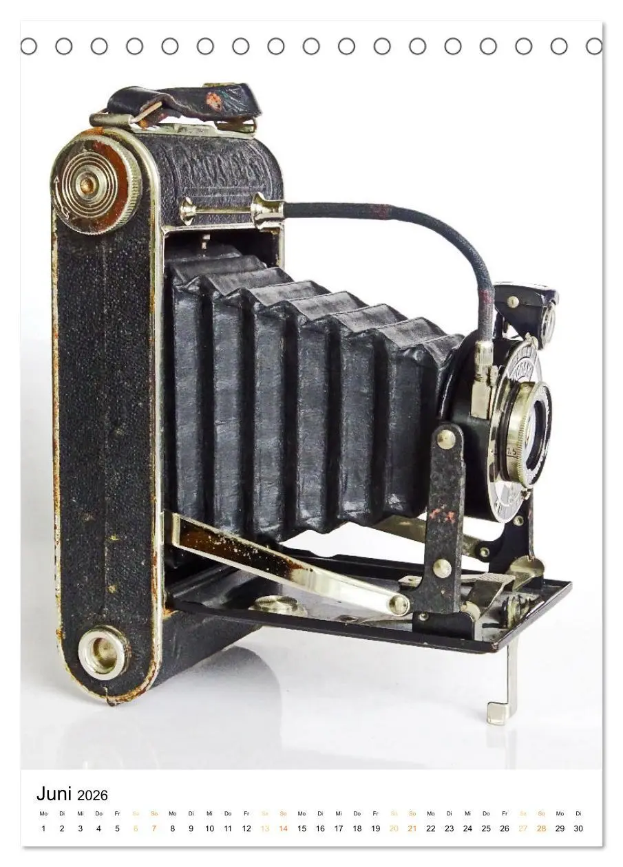 Bild: 9783516312065 | Balgenkameras - Analoge Fotoapparate mit Charme (Tischkalender 2026...