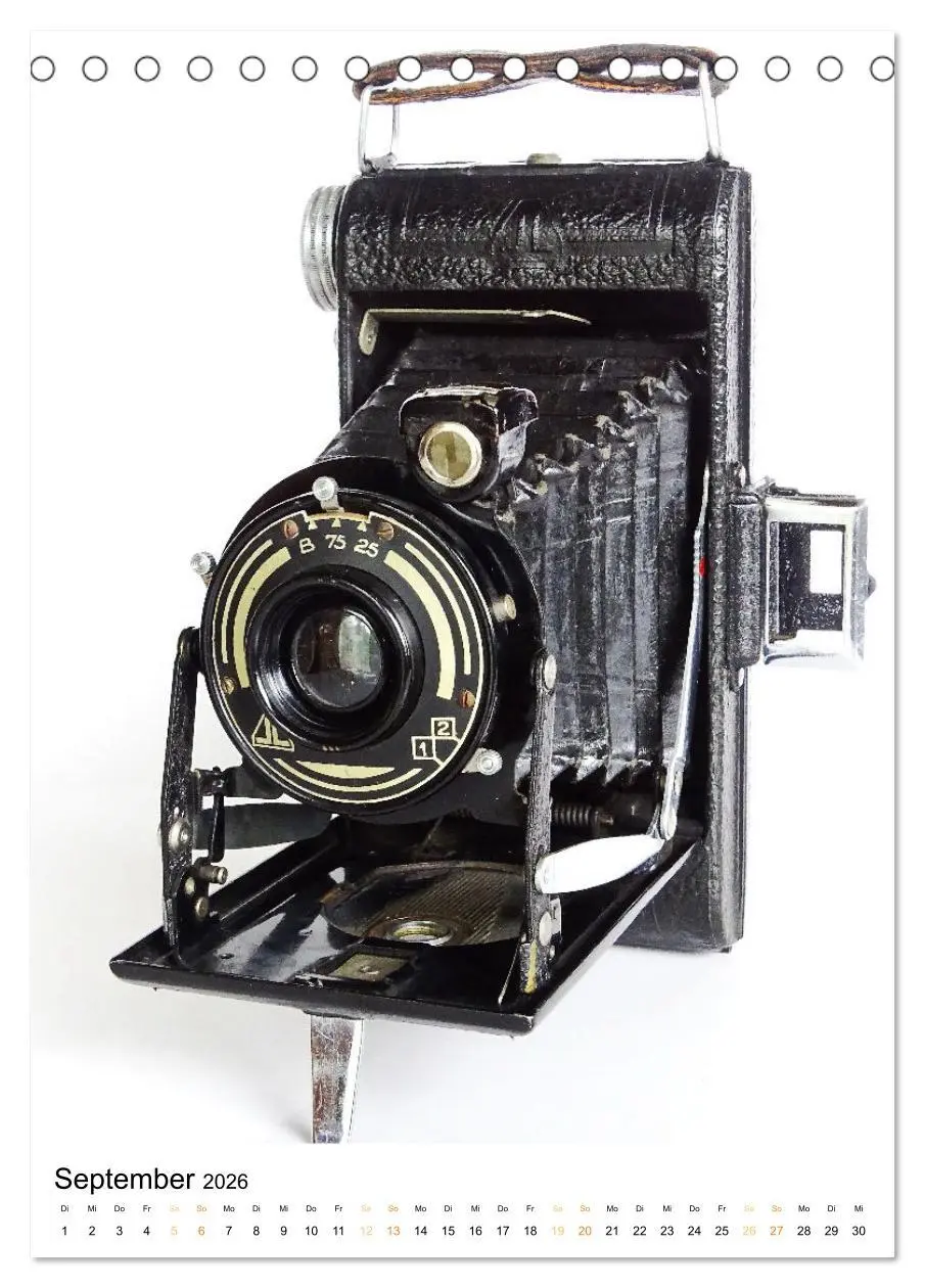 Bild: 9783516312065 | Balgenkameras - Analoge Fotoapparate mit Charme (Tischkalender 2026...