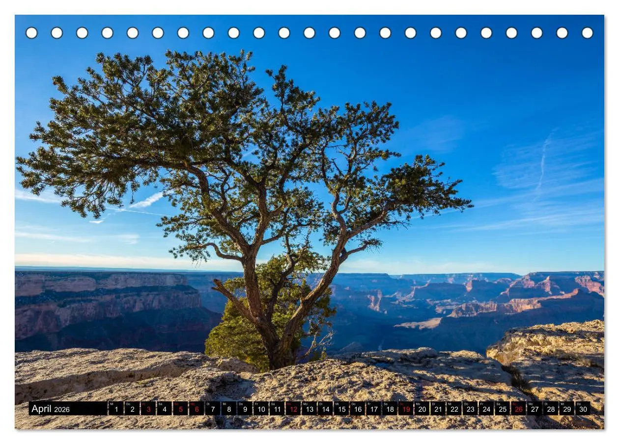 Bild: 9783457822265 | GRAND CANYON - Einblicke (Tischkalender 2026 DIN A5 quer), CALVENDO...
