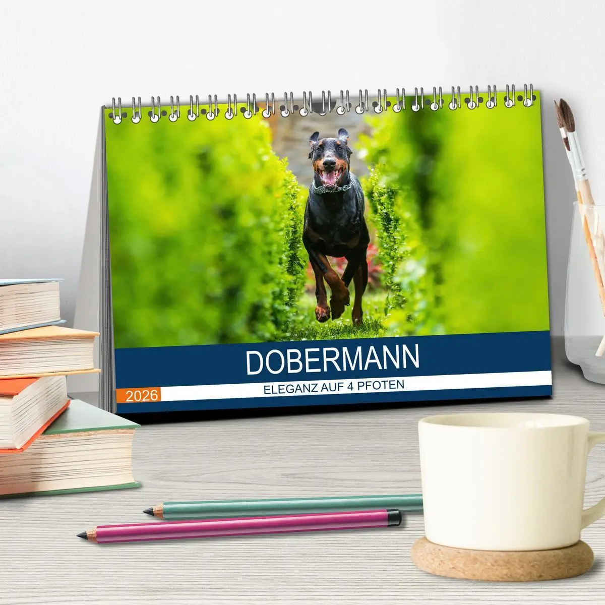 Bild: 9783516082265 | Dobermann 2026 (Tischkalender 2026 DIN A5 quer), CALVENDO...